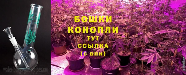 spice Абаза