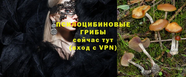 a pvp Абинск