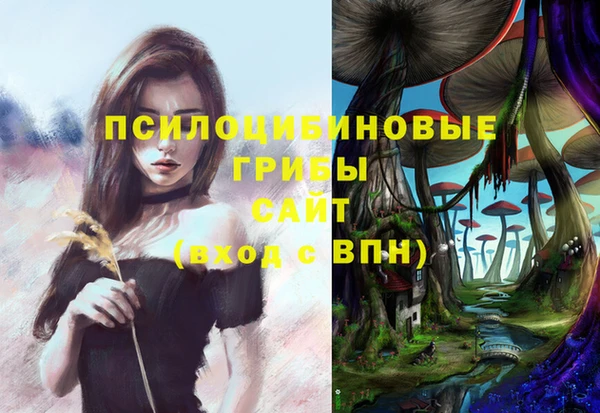 spice Абаза