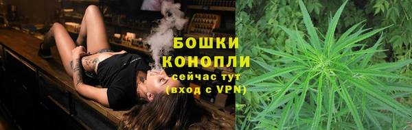spice Абаза