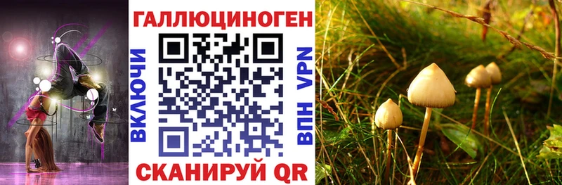 kraken ссылки  Советский  Псилоцибиновые грибы MAGIC MUSHROOMS  дарнет шоп 