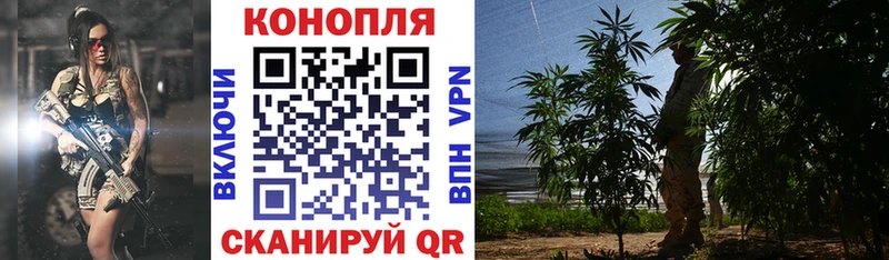 купить цена Советский МАРИХУАНА Bruce Banner